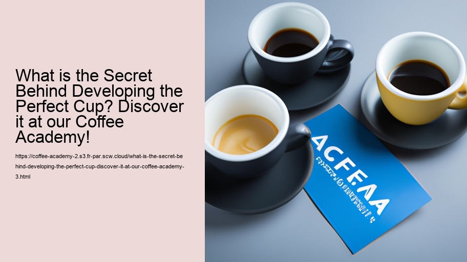 What is the Secret Behind Developing the Perfect Cup? Discover it at our Coffee Academy!